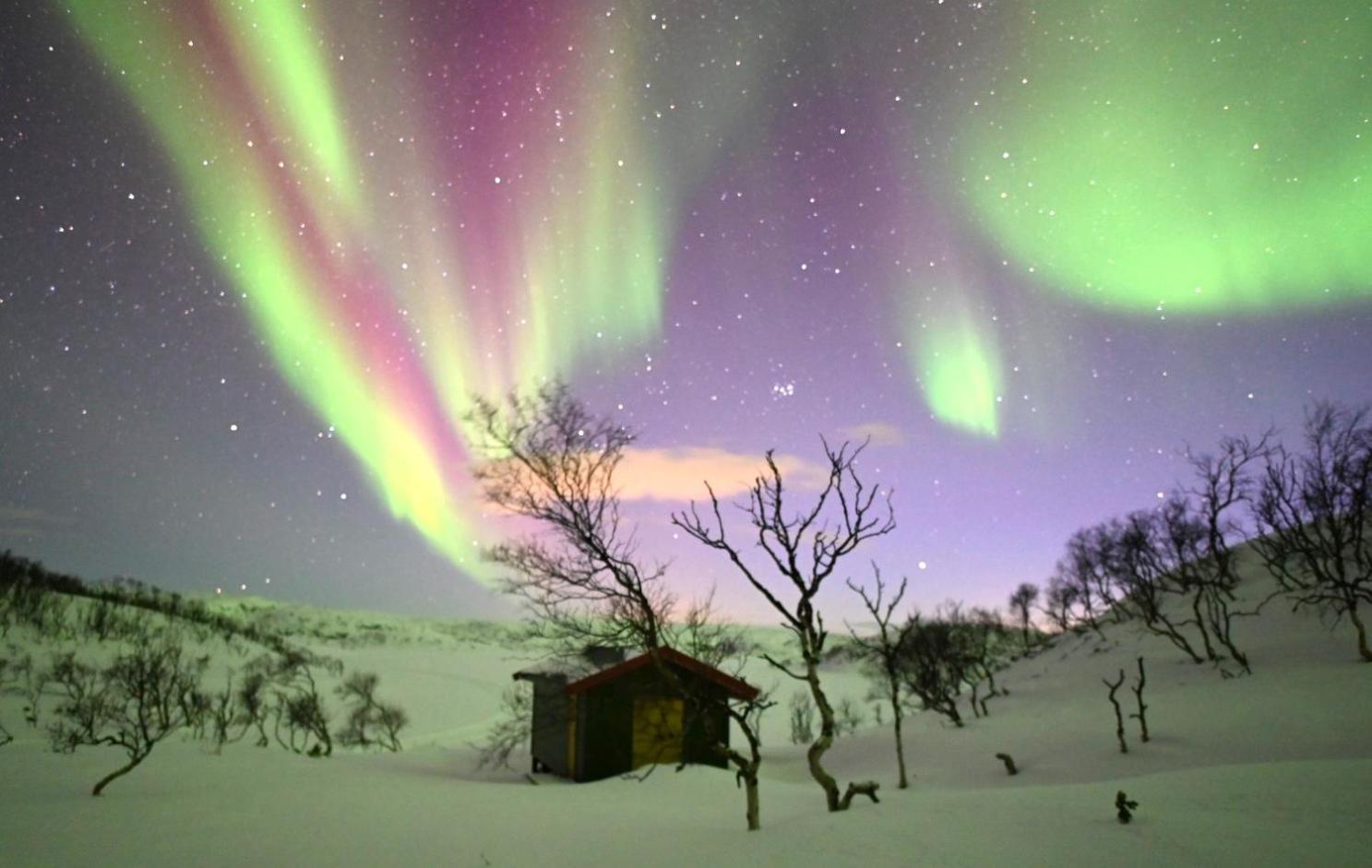 Atte Arstider Lodge Neiden Экстерьер фото